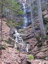 Picture_2 034
